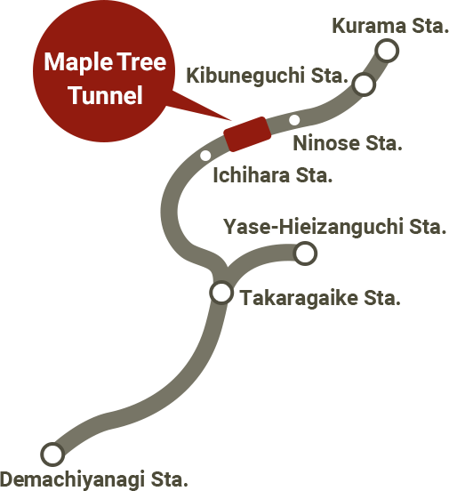 Maple Tree Tunnel map